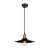 Миниатюра фото подвесной светильник loft it factory filament loft1102 | 220svet.ru