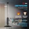 Миниатюра фото подвесной светильник эра pl14 bk б0061363 | 220svet.ru