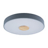 Миниатюра фото потолочный светильник loft it axel 10003/24 grey | 220svet.ru