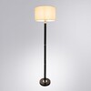 Миниатюра фото торшер arte lamp robert a5029pn-1ss | 220svet.ru