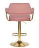 Миниатюра фото стул барный dobrin charly gold lm-5019-n_g-m_v-mj9-32-12143 | 220svet.ru