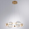 Миниатюра фото подвесной светодиодный светильник arte lamp crocus a2780lm-30pb | 220svet.ru