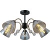 Миниатюра фото потолочная люстра illumico il0230-5csq-29 bk ab | 220svet.ru