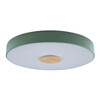 Миниатюра фото потолочный светильник loft it axel 10003/24 green | 220svet.ru