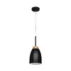 Миниатюра фото подвесной светильник loft it watchman loft4402a-bl | 220svet.ru