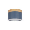 Миниатюра фото накладной светильник loft it grape 10162 blue | 220svet.ru