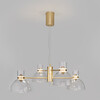 Миниатюра фото подвесной светодиодный светильник eurosvet vial 204053 led | 220svet.ru