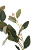 Миниатюра фото веточка эвкалипта с цветами листья зеленые garda decor 9f28558-gr | 220svet.ru