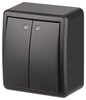 Миниатюра фото выключатель эра эксперт 11-1205-05 двойной с подсветкой ip20 10ах-250в оу антрацит б0063021 | 220svet.ru